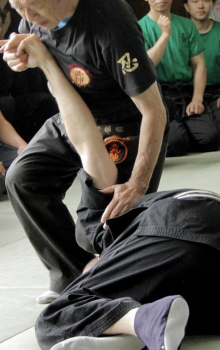 Training with Daishihan Paul in Noda. 